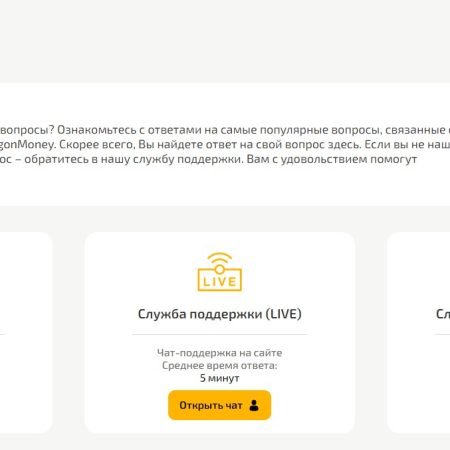 Dragon Money (Драгон Мани) – как работает техподдержка